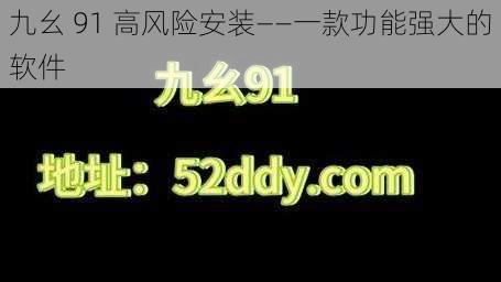 九幺 91 高风险安装——一款功能强大的软件