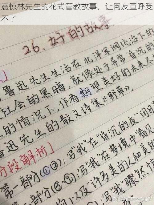 震惊林先生的花式管教故事，让网友直呼受不了