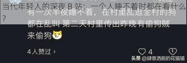 当代年轻人的深夜 B 站：一个人睡不着时都在看什么？