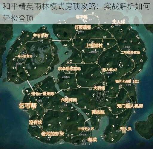 和平精英雨林模式房顶攻略：实战解析如何轻松登顶