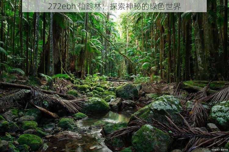 272ebh 仙踪林：探索神秘的绿色世界