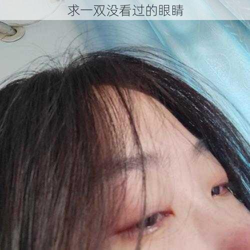 求一双没看过的眼睛