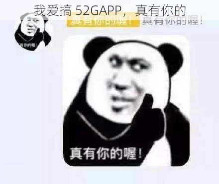 我爱搞 52GAPP，真有你的