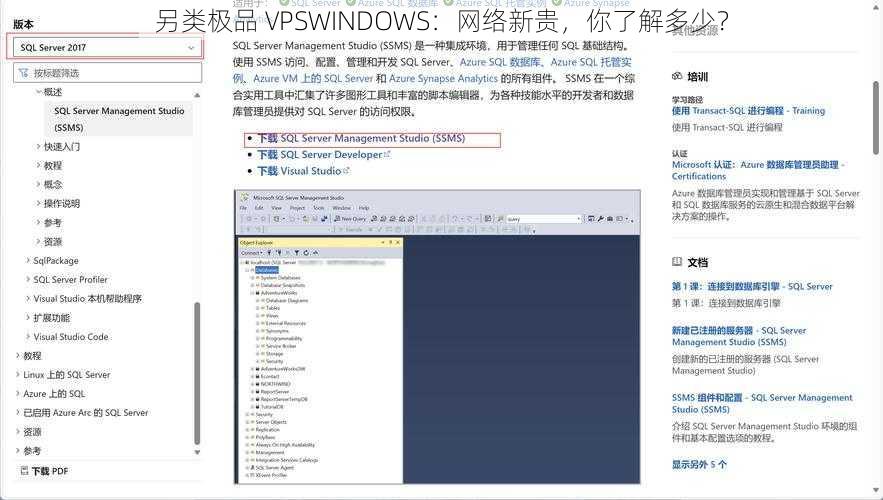 另类极品 VPSWINDOWS：网络新贵，你了解多少？