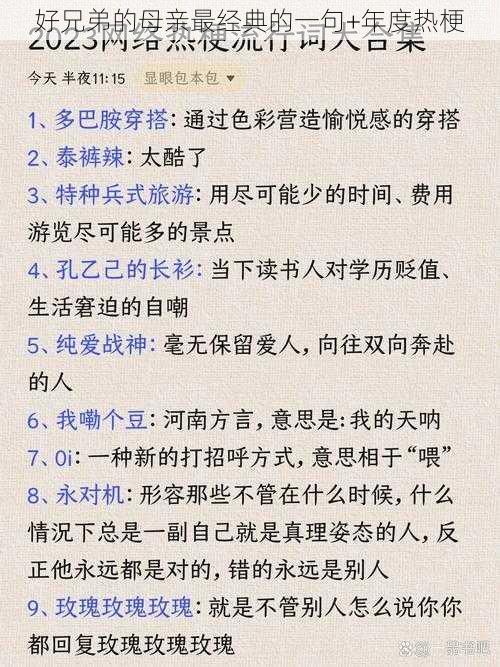 好兄弟的母亲最经典的一句+年度热梗