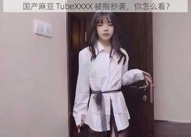 国产麻豆 TubeXXXX 被指抄袭，你怎么看？